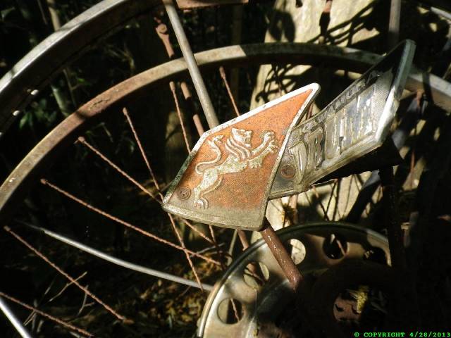 Close up of the bike's chain guard.