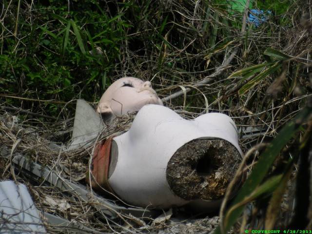 This startled me at first. Discovered discarded near a water treatment facility.