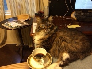 Pusscat getting his start on  the day. "No milk in this cat's coffee!"
