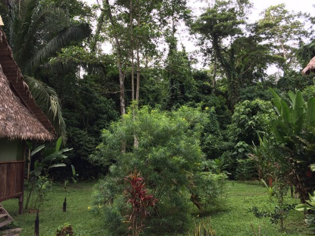 amazon-Inotawa-courtyard