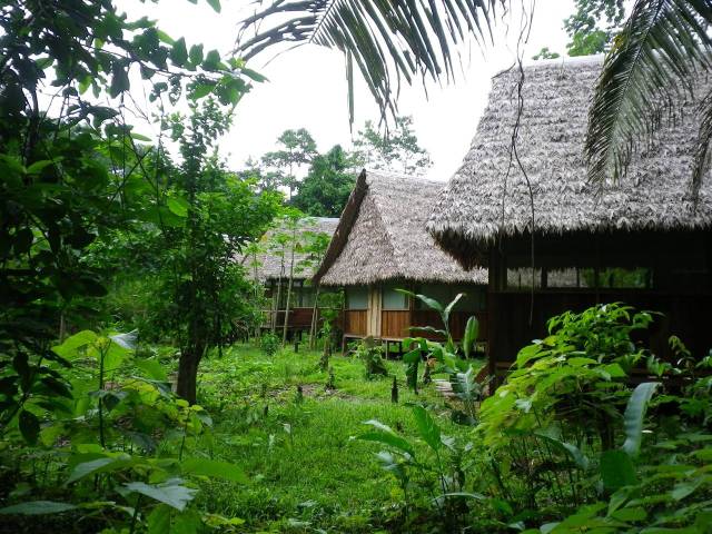 Inotawa-bungalow2013-1