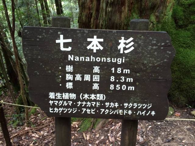 japan16-shiratani-unsuikyo52