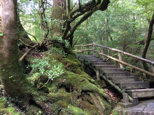 japan16-shiratani-unsuikyo7